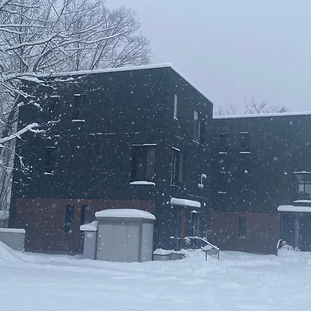 Koharu Villas Hakuba-3